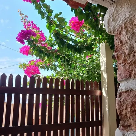 Casa Di Nonna * ハニア