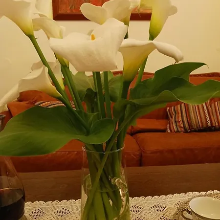 Casa Di Nonna ハニア