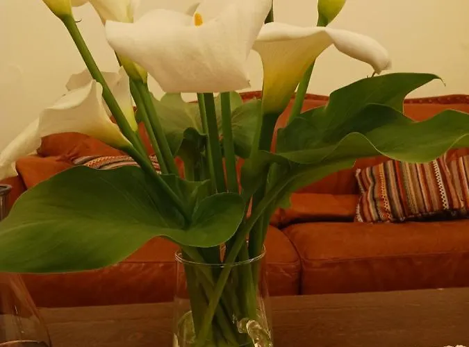 Casa Di Nonna Chania (Crete)